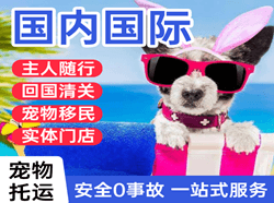 通辽机场邮寄国际宠物托运 【国